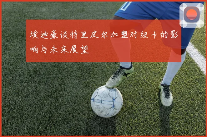 埃迪豪谈特里皮尔加盟对纽卡的影响与未来展望