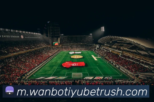 万博体育APP 高清赛事图